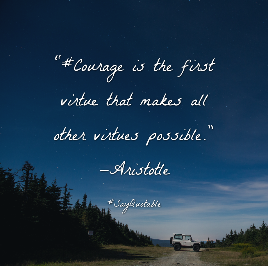 2-quote-about-courage-is-the-first-virtue-that-makes-all-ot-image-background-image